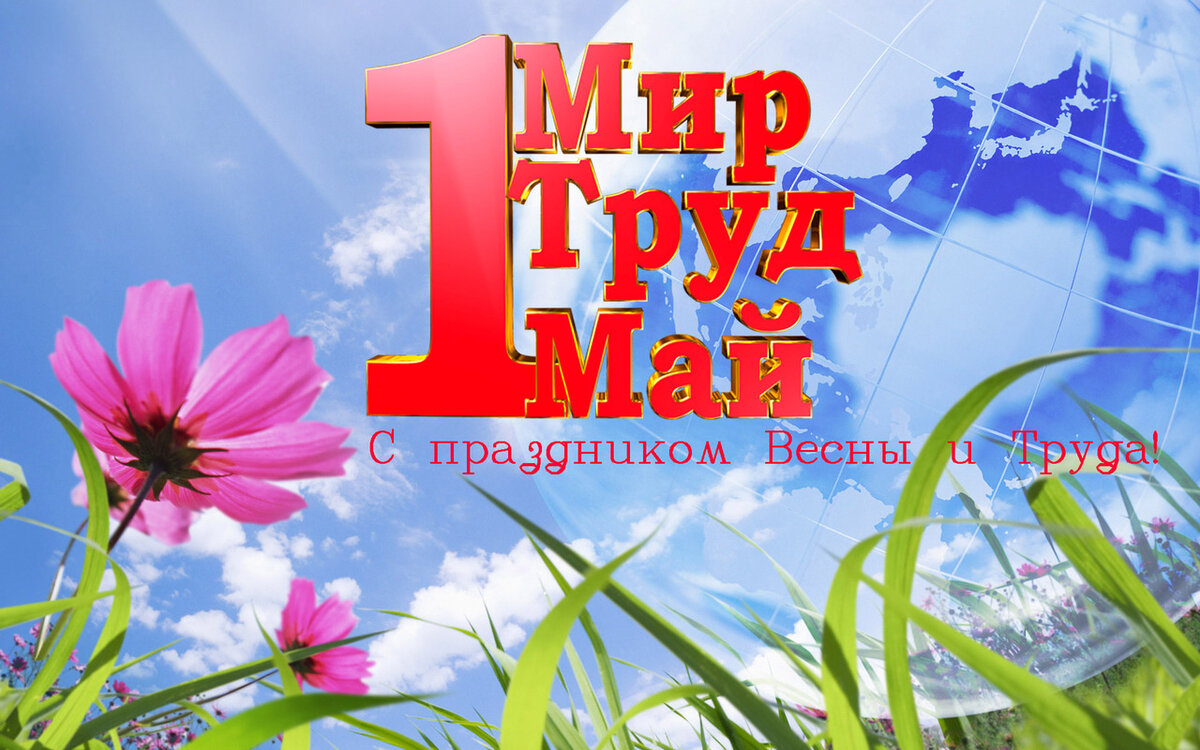 1may