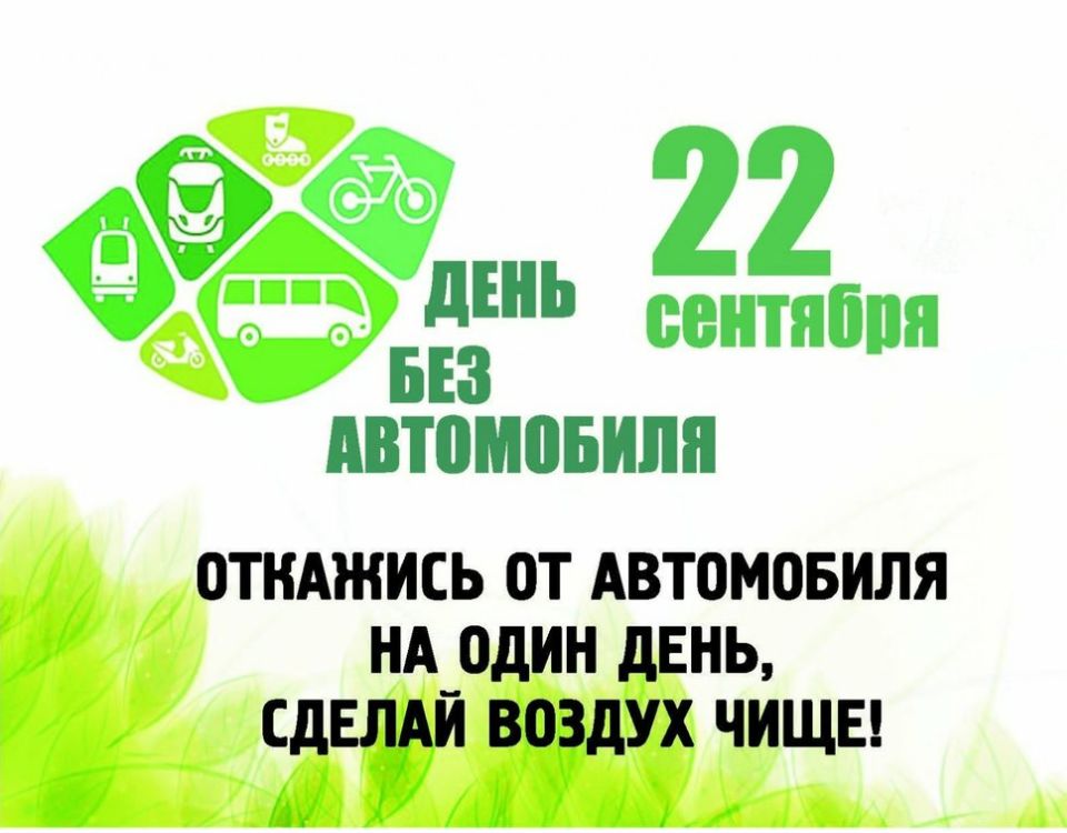 Den bez avto