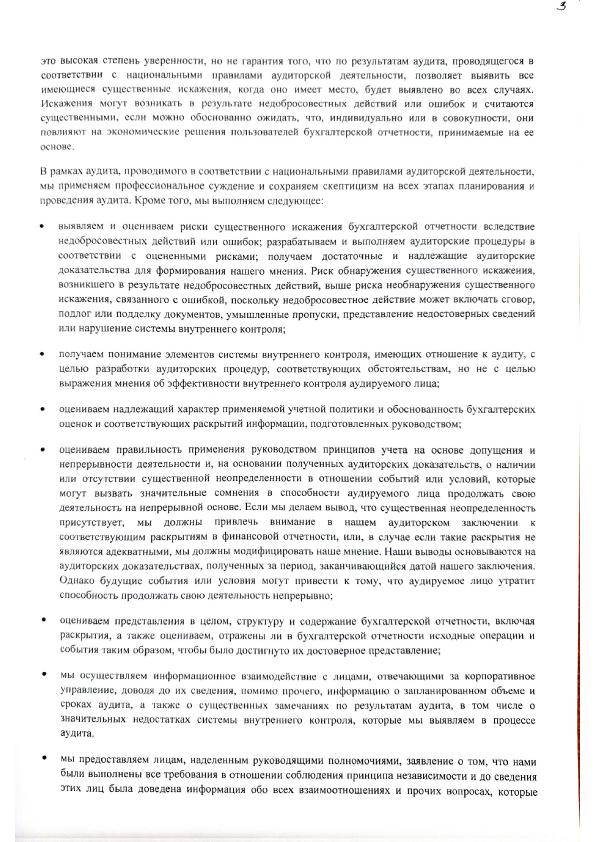 Аудиторское заключение и бухгалтерская отчетность ОАО Бел Стом Кристал за 2020 год 3